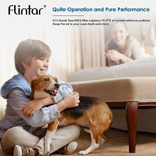 Flintar MK04 True HEPA Replacement Filter, Compatible With AROEVE Air Purifier MK04, MG04JH And