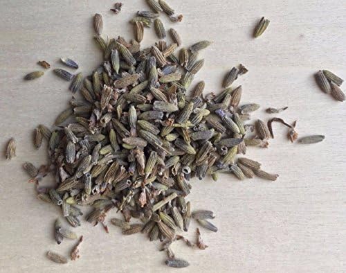 Lavender, Lavandula x intermedia ~ Sacred Herbs from Schmerbals Herbals