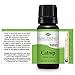 Plant Therapy Catnip Essential Oil 100% Pure, Undiluted, Natural Aromatherapy, Therapeutic Grade 10 mL (1/3 oz)