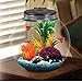 Koller Products AquaView 3-Gallon Fish Tank with Power Filter and LED Lightingthumb 2