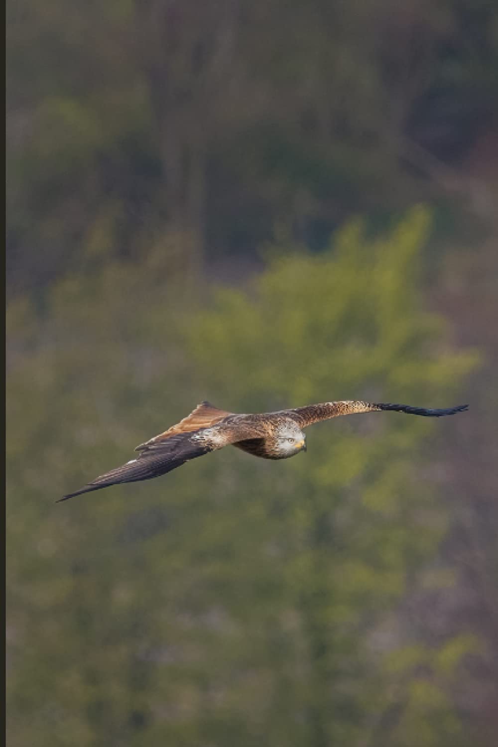Notebook: Red Kite Journal