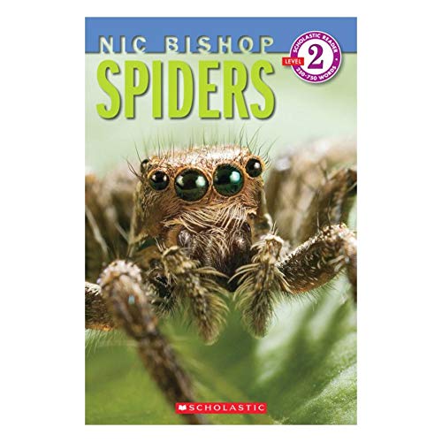NIC Bishop - Spiders B06XVFJ4FN Book Cover