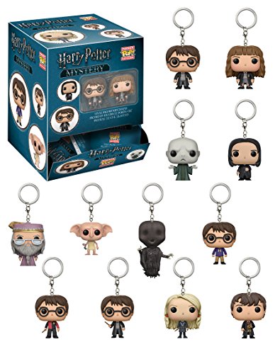 Funko Pop Keychain Blindbag: Harry Potter Collectible Figure