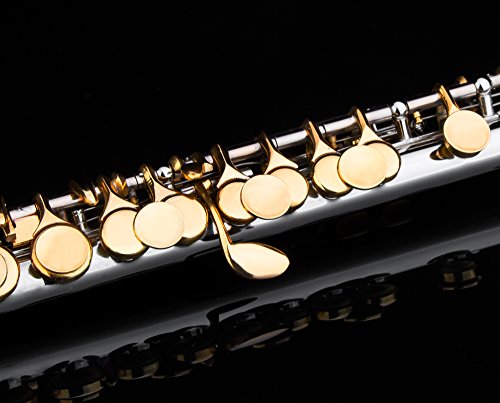 Glory Key of C Piccolo with Case, Joint Grease, Cleaning Cloth and Rod, and Gloves, Silver/Gold keys ~ More COLORS Available ! CLICK on LISTING to SEE All Colors - Thumbnail 3