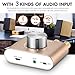 Nobsound Mini 50W x 2 Bluetooth Power Amplifier; 2.0 Channel Stereo Hi-Fi Digital Amp; Wireless Audio Receiver; PC Sound Card for Home Speakers with Power Supply Upgrade Version (Gold)thumb 4