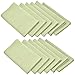 LinenTablecloth 17-Inch Polyester Napkins (1-Dozen) Tea Green