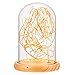 Erosom Glass Dome Lamp Bell Jar Display Dome Bamboo Base String USB LED Bedside Table Lamp with LED Warm Fairy Starry String Lights Ideal for Decoration Anywhere.(Warm White)