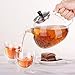 Ecooe 50 Ounce Clear Glass Teapot with 18/10 Stainless Steel Infuser Large Loose Leaf Teapot Tea Infuser Teapot Glass Tea Kettle