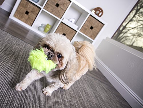 goDog Just For Me Furballz with Chew Guard Tough Plush Dog Toy, Lime, Small