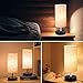 ZEEFO Dual 2.1A USB Charging Port Bedside Table Lamp with Press Switch, Black Base Modern Minimalist Design Desk Lamp Very Convenient Nightstand Lamp to Decor Your Bedroom, Guest Room (Set of 2)