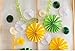 Zorpia® Decorative Fan - Tissue Paper Fan Collection - Assorted Fans of 10, 16-Inch, 8 Pieces, Assorted Colors