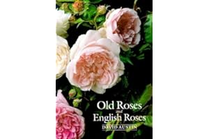 Old Roses and English Roses