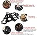 Dog Muzzle, Breathable Basket Muzzles for Small, Medium, Large and X-Large Dogs, Stop Biting, Barking and Chewing, Best for Aggressive Dogs (Medium, Black)