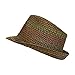 Boho Festival Straw Fedora Sun Hat in Olive, Brown and Rust Earth Tones, One Size