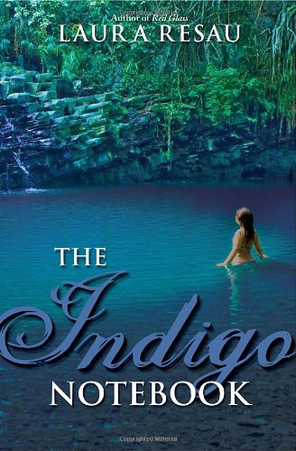 The Indigo Notebook (Indigo Notebook (Hardback))