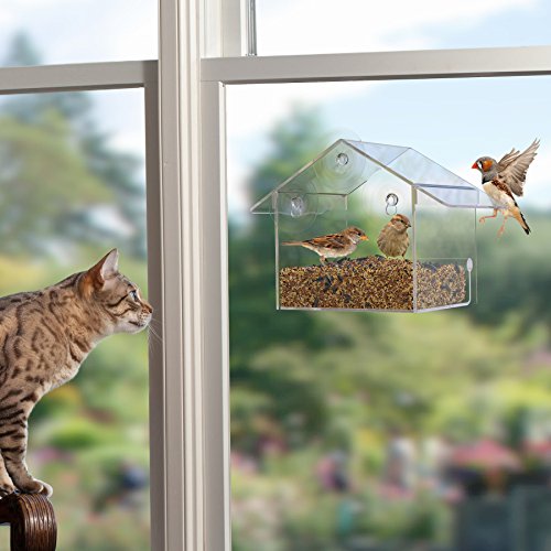 Window Bird Feeder By Yellow Beaks The Best Clear Acrylic