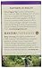 Choice Organic Teas Wellness Teas, 16 Tea Bags, Mental Focus