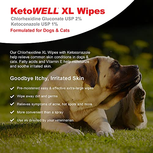 VetWELL Chlorhexidine Wipes for Dogs Medicated Wipes for Dogs & Cats