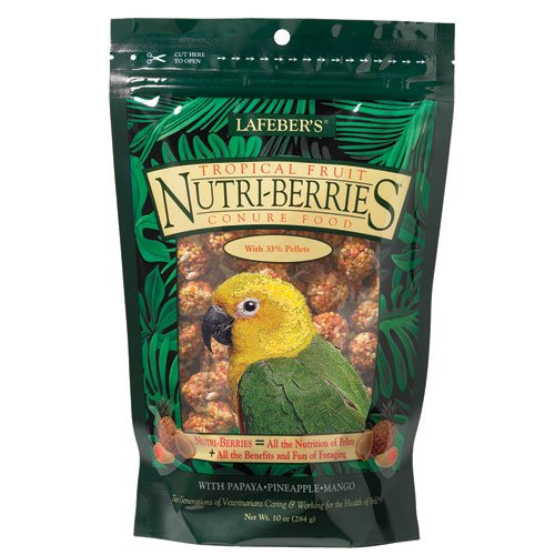 NB Tropical NutriBerries Conure 4 pk 10 oz