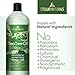 Tea Tree Oil Body Wash - Tea Tree, Peppermint, Eucalyptus Oil - 16 Ounces
