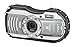 Ricoh WG-4 Silver 16Digital Camera with 4x Optical Image Stabilized Zoom with 3-Inch LCD (Silver)