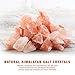 Plemo Salt Lamp, Himalayan Pink Sea Salt, Hand Carved Natural Amber Crystal Rock, Brightness Dimmable Control and Luxury Gift Box, 2 x 15w Bulbs, UL Approved Electric Wire