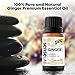 SenseLAB Indian Ginger Essential Oil - 100% Pure Extract Ginger Oils - Therapeutic Grade Essential Oils - Lymphatic Drainage Ginger Oil - Ginger Massage Oil - Hair Care Oil - Ginger Root Oil (10 ml)