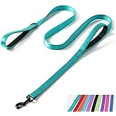 Double Handle Dog Leash 6ft, Reflective Nylon with Padded for Extra Control Outside Durable Training Lead for Small Medium Large Breed Pet Dogs, 1-Inch Width, Teal