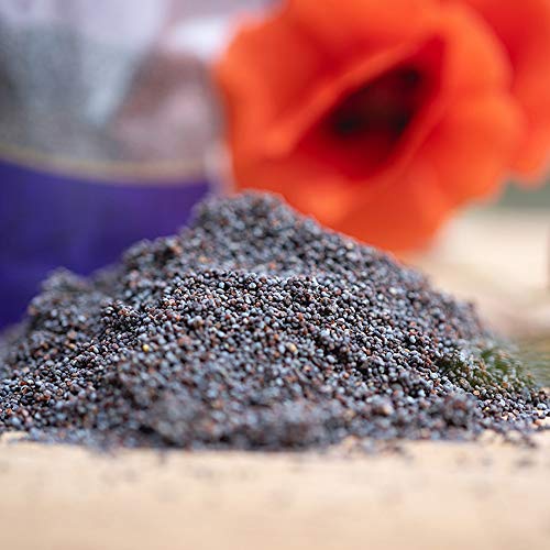 federgold® Blaumohn 250 g â hochwertiges Zusatzfutter für Wachteln & Hühner | unterstützt die Verdauung & Futteraufnahme | ideal für Küken ab dem 1. Tag | 100% Naturprodukt auf Lebensmittelbasis – Bild 3