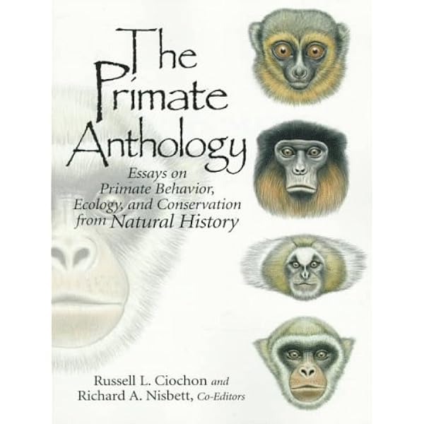 Amazon.com: Primate Adaptation and Evolution: 9780123786326