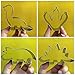 New Cookie Cutter Set - 3 Inch Dinosaur Footprint, Brontosaurs, Spinosaurus & Triceratops Molds for Kids' Birthday Party (4 Piece)