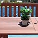 VIFAH Malibu Outdoor Rectangular Dining Table with Curvy Legs