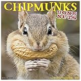 Chipmunks (Gone Nuts!) 2020 Wall Calendar by 