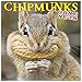 Chipmunks (Gone Nuts!) 2020 Wall Calendar by 