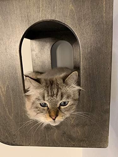 A Cats Domain Wall Mounted Cat Bed Cottage Style #12 w/Carpeted Upper Deck Pet Small Animal House 10"-14" Depth x 18"-24" Width