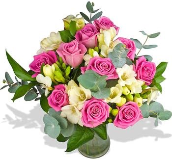 Fresh Pretty Lady Flowers with Free Delivery and Name-a-Rose Gift - A Beautiful Hand Tied Bouquet Filled with Pink Roses and White Freesias All Wrapped by a Real Florist