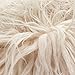 Fake Faux Fur Curly Alpaca Latte 58 Inch Wide Fabric by The Yard (F.E.®)