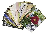 20 Postcards - Christian Scripture Inspirational Bible Verses - Floral Glossy Photographic Designs - 4 x 6 Inches
