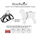 Peak Pooch - No-Pull Dog Harness - Padded, Mesh Fabric Dog Vest with Reflective Trim, Lifting Handles and Buckle Straps - Black Dog Harness - L