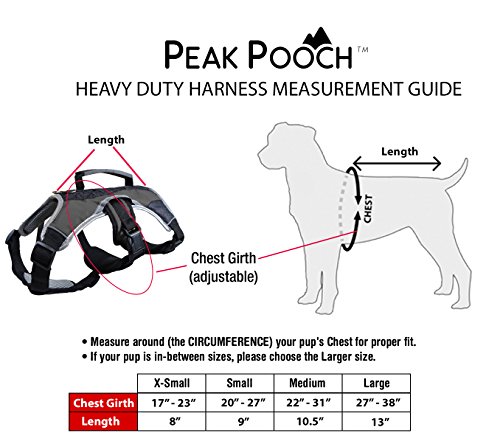 peak pooch harness