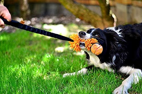 DINGO Floatable Tug Toy with a Flavoured Ball and Bungee Handle, Handmade Dog Chaser for Play Tug of War, Agility, Fetch - Image 4