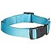 Blueberry Pet Essentials X-Small Dog Collar in Turquoise | Adjustable & Eco-Friendly Durable Nylon Strap | Classic Collar for X-Small Dogs, Boy & Girl Pets