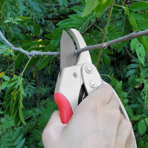 gonicc 8" Professional SK-5 Steel Blade Ratchet Anvil Pruning Shears(GPPS-1013), Ratcheting Mechanism, Anvil Groove Design, Reinforced Design Handle, Garden Hand Pruners.