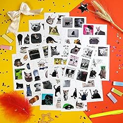 BulbaCraft 100Pcs Cat Meme Stickers - Funny Cat