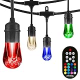 Enbrighten Vintage Seasons LED Warm White & Color Changing Caf&eacute; String Lights, Black, 24ft., 12 Premium Impact Resistant Lifetime Bulbs, Wireless, Weatherproof, Indoor/Outdoor, Commercial Grade, 37791