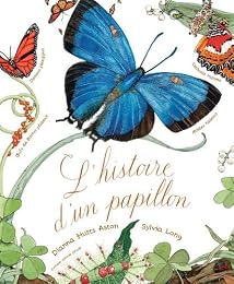 L' histoire d'un papillon