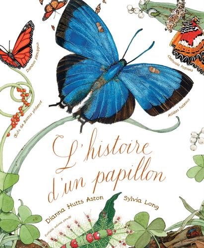 L' histoire d'un papillon