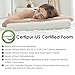 Jiaao Memory Foam Pillow for Neck Pain Orthopedic Contoured Support Pillow for Sleeping, Best Bed Pillow for Side & Back Sleepers, Including Removable Cover with Invisible Zipper (Standard, white)