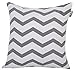 Accent Home Cotton Canvas Throw Cushion Cover Printed Both Side For Home Sofa Couch, Chair Back Seat,4pc pack 18x18