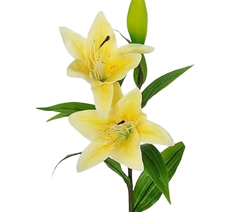 Lameida 5pcs Fleurs Artificielles Branche Unique Fleur De Lys Bouquet De Fleurs Bouquets De Mariage Décoration Intérieure Jaune 37cm